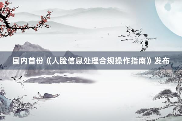 国内首份《人脸信息处理合规操作指南》发布