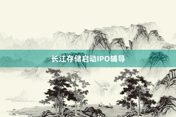 长江存储启动IPO辅导