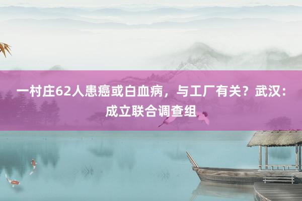 一村庄62人患癌或白血病，与工厂有关？武汉：成立联合调查组